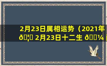 2月23日属相运势（2021年 🦄 2月23日十二生 🐼 肖每日运势）